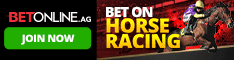 The Horses are on the Track are you ready to Bet?